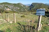 Hunting signs spain