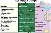 csf findings in bacterial and viral meningitis