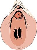 Hymen Bilder Hymen Bilder