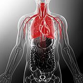 quel traitement pour le most cancers du poumon