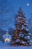 stock bild weihnachtsbaum mond drau 223 en deko feiertag stock bild weihnachtsbaum mond drau 223 en deko feiertag